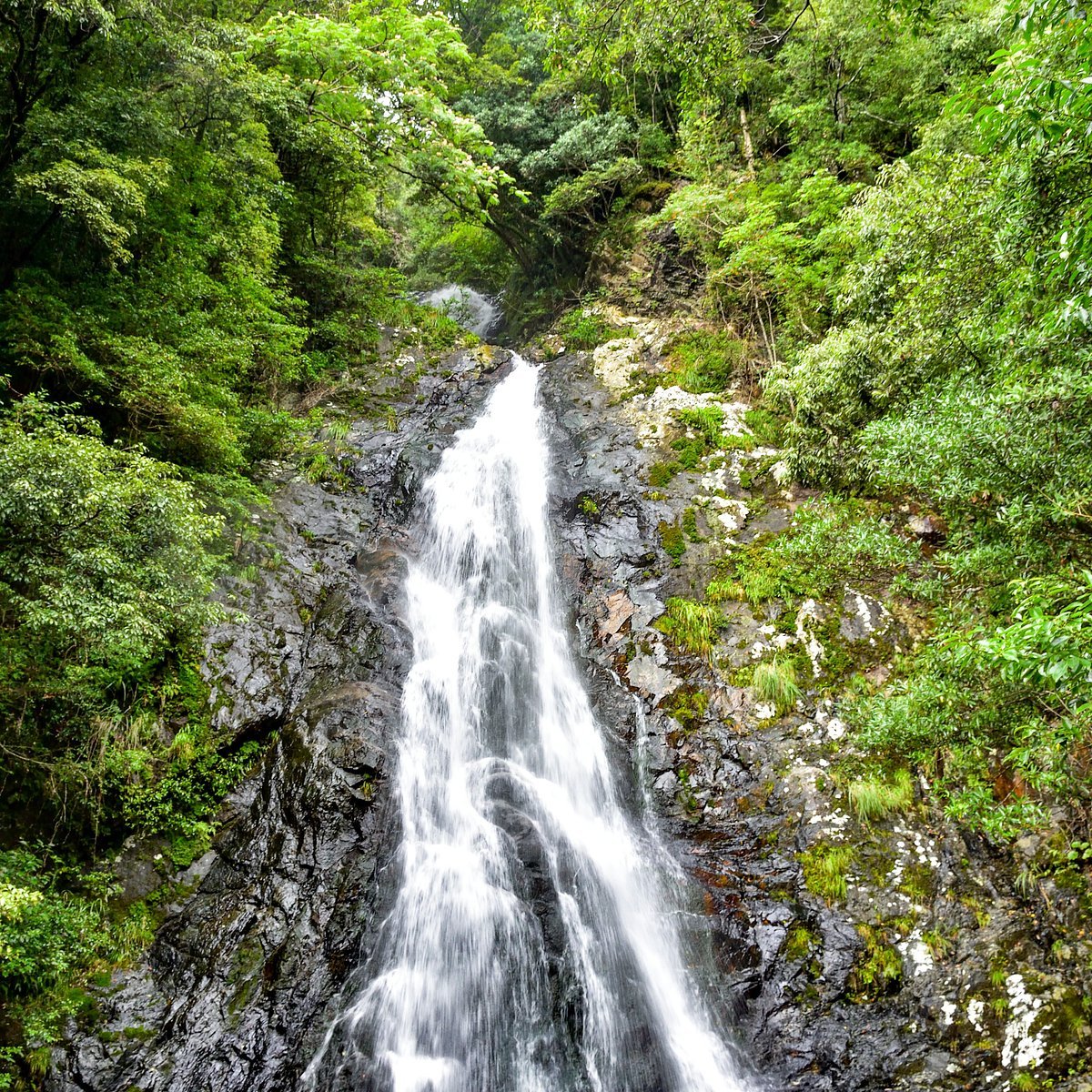 🏞️ 야세오 폭포(야세오노타키) 이미지 8